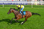 220825-Race 5-Cape Flora-7689