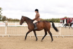 SBM_02862