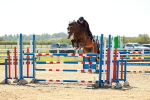 SBM_001612
