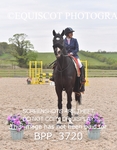 CLASS 5 - FRI - Veterans Show Jumping portfolio