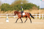 SBM_009713