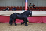 SBM_17429