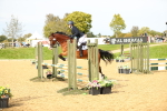 J18 - Junior Pony 85cm Championship portfolio