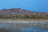South Crane Pond at dawn, Bosque del Apache, New Mexico