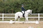 Class 8 - Novice 3 Champs portfolio