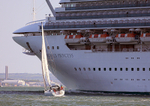 140503 TAMARISK - EMERALD PRINCESS WT7A0285