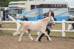 SBM_08450