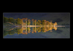 Reflections