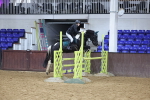 SBM_002993