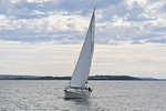 190729 SEA BADGER GBR9483T 1Y3A6699