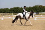 SBM_004146