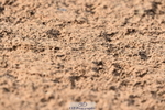 231101A-120708-00226