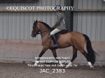 JAC_2383