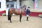 SBM_23636