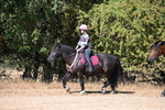 WJ6_7945