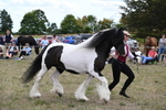 WJ6_5511