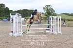 BPP_3113