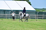 SBM_17431