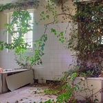 Ivy Bathroom