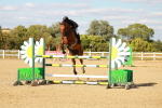 SBM_007974