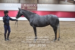 BPP_2530