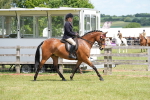 SBM_15847
