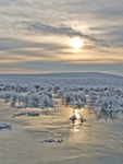 Frosty Landscape
