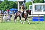 SBM_12163