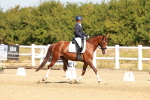 SBM_017635