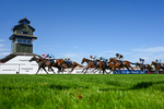 120826-Race 3-Sir David-5124
