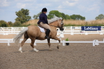SBM_04040