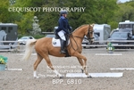 BPP_6810