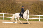 SBM_003569
