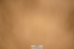 240317A-133718-06805