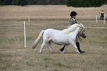 WJ6_6383