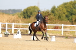 SBM_016641