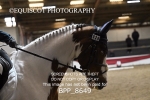 BPP_8649