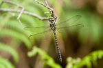 20120530-_MG_9630