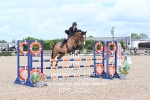 BPP_8380