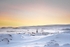 Berlevåg