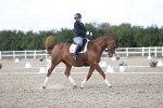 SBM_016054
