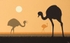 Pastando de madrugada / Grazing at daybreak