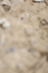 SBM_004819