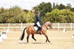 SBM_009896