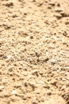 SBM_004648