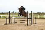 SBM_006629