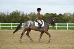 LAD_5437