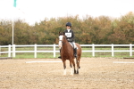 SBM_001956