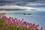z3805 Summer Mists, Sandown Bay