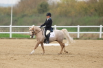 SBM_006301